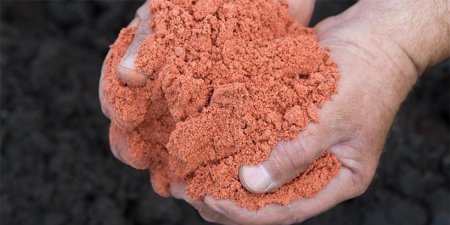 Беларусь вполовину снизила ставку вывозной пошлины на калийные удобрения