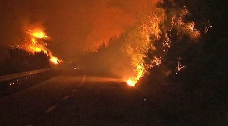 Пожар в Португалии уничтожил 26 тысяч гектар леса (ВИДЕО)