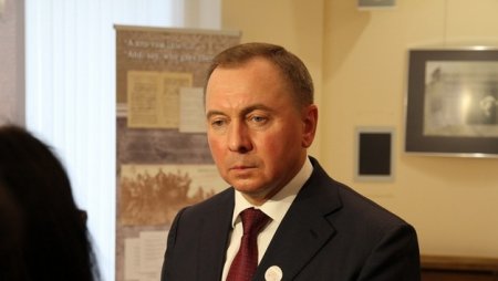 Макей: Парламентарии ПА ОБСЕ «шокированы» увиденным в Беларуси