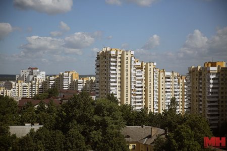 Для защиты деревьев в Минске примут дополнительные меры