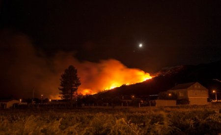 Жителей 10 городов в Испании эвакуировали из-за лесных пожаров