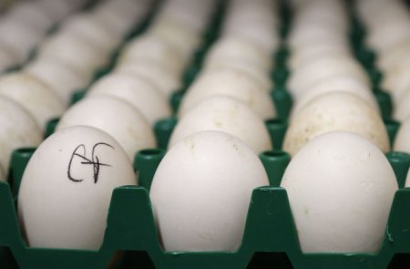 В куриных яйцах ряда стран Европейского Союза обнаружены токсины