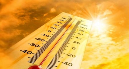 Аномальная жара в Беларуси: по стране объявлен оранжевый уровень опасности