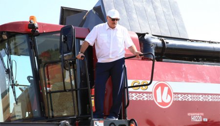 Лукашенко вместе с сыном испытал комбайн на пшеничном «поле Президента»