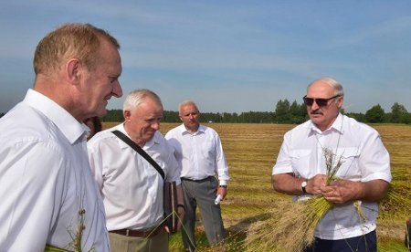 Лукашенко лично проверил эффективность работы льносеющего хозяйства в Витебской области