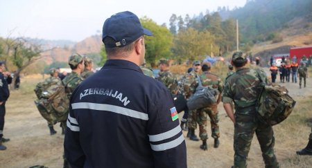 Президент Грузии Маргвелашвили поблагодарил белорусских спасателей за помощь в тушении пожара
