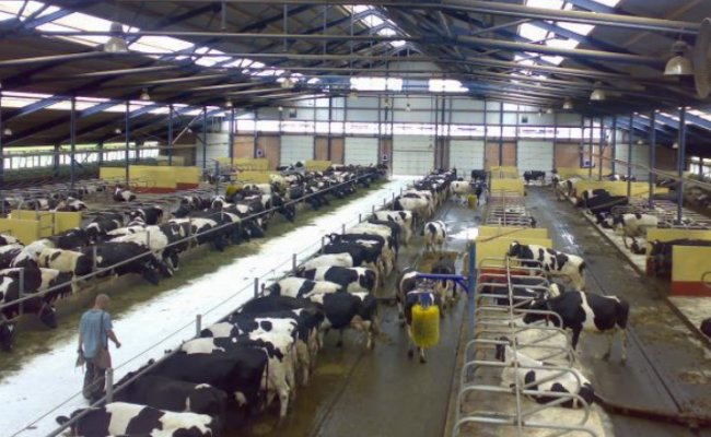 Беларусь и Судан хотят вместе создавать молочно-товарные комплексы