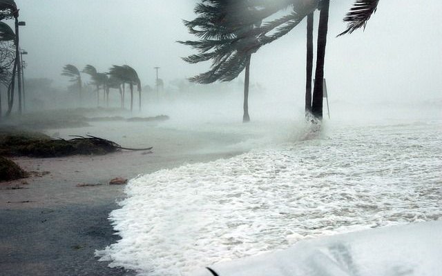 Тропический шторм в Атлантике усилился до урагана
