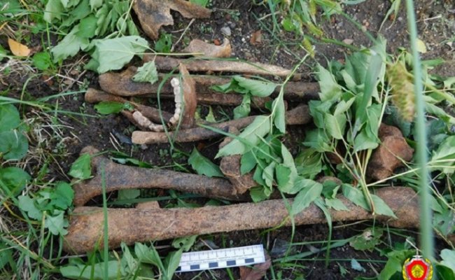 В Могилеве на территории детского сада обнаружены человеческие останки