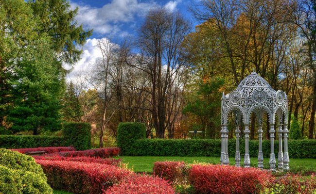 В ботаническом саду пройдёт празднование осеннего «Самайна»