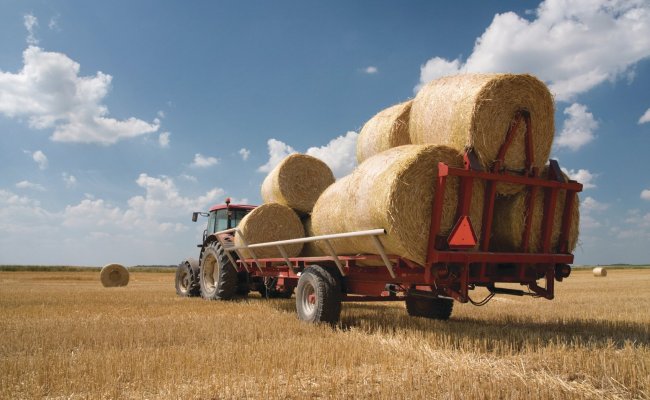 Пакистан намерен привлечь белорусские сельхозтехнологии