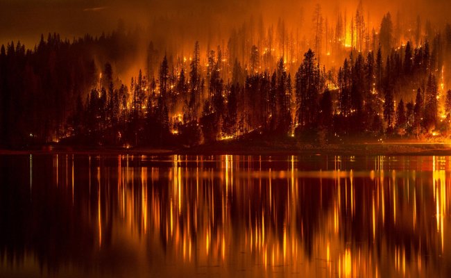 В США из-за лесных пожаров эвакуировали более 200 тыс. человек