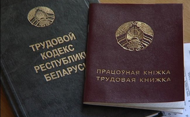 Обновленный декрет №3 начнет работать в полной мере через год - Жарко