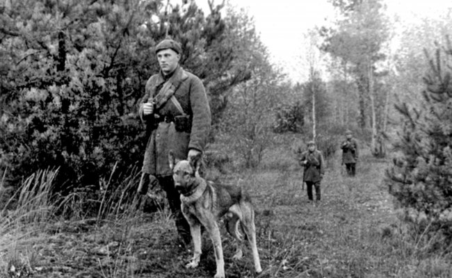 Осень 1939 года, Западная Беларусь, пограничные наряды на охране новой границы. 