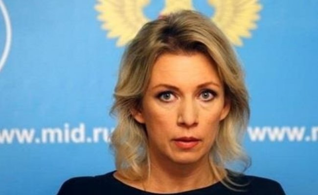 Тупой национализм - спикер МИД РФ Захарова о трудоустройстве на Украине кота