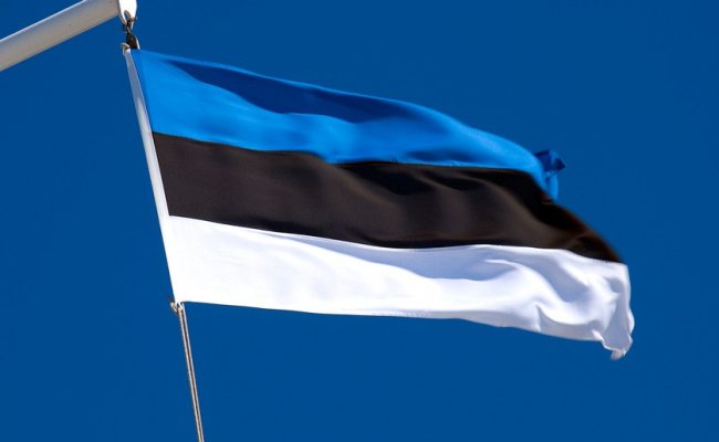Эстония запретила РФ открывать дополнительные избирательные участки