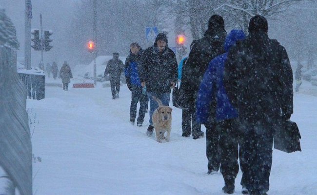 В Беларуси 22 января ожидается до 16 градусов мороза