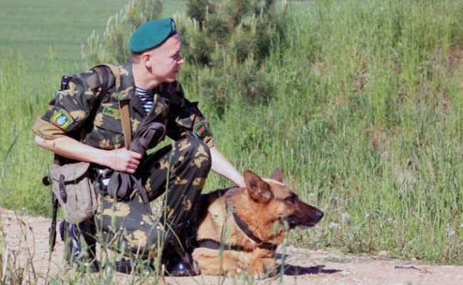В Малоритском районе пограничники изъяли более 1,6 т мяса