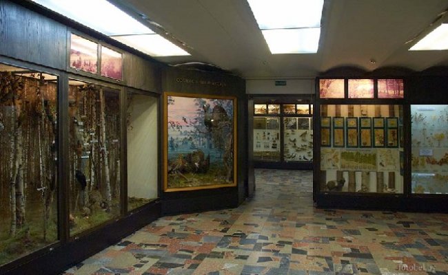 Музеи Гродненщины проведут мероприятия в честь 100-летия БНР
