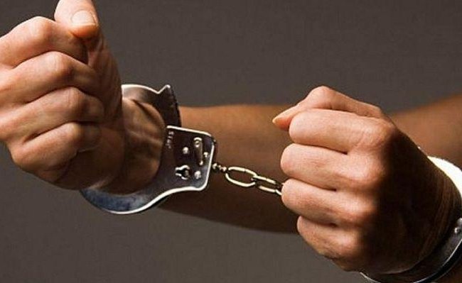 Сотрудника Малоритского лесхоза задержали по подозрению в хищениях