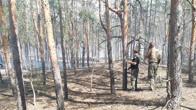 В Луганской области полыхали 5 га леса
