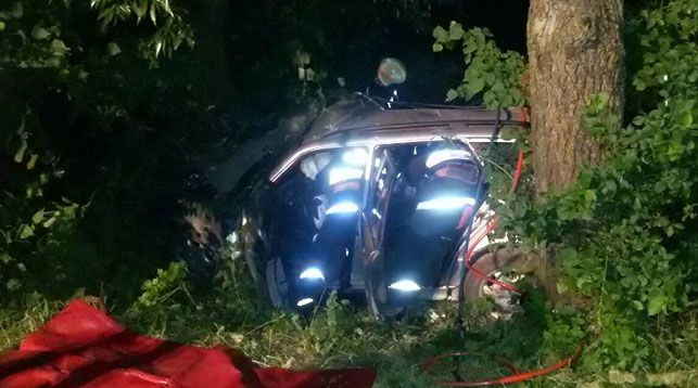 В Брестском районе Mercedes слетел в кювет и врезался в дерево