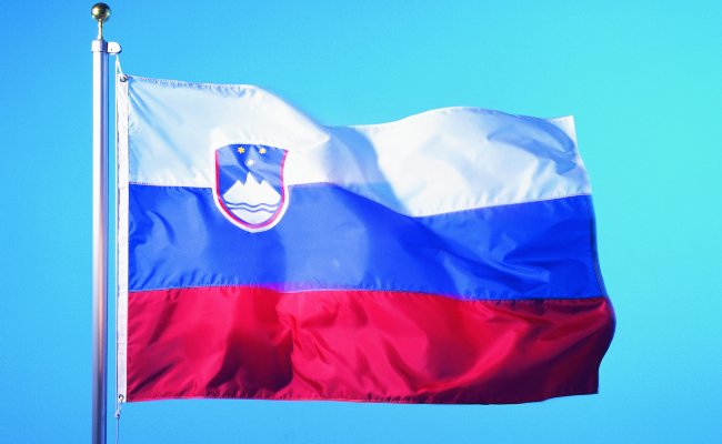 Выборы в Словении: победила оппозиционная партия