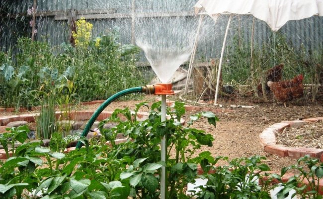 Коммунальщики в Ганцевичах устроили «охоту» на хозяев, осуществляющих полив огорода без водомера
