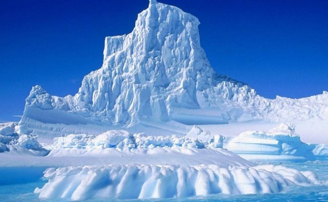 Беларусь получила статус ассоциированного члена Научного комитета антарктических исследований