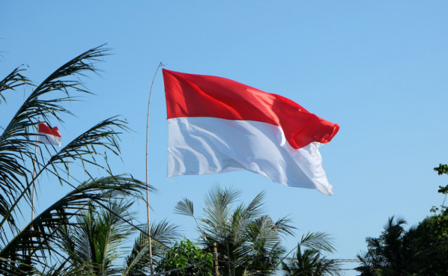 Беларусь намерена наращивать поставки техники в Индонезию