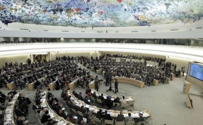Совет ООН по правам человека продлил мандат спецдокладчика по Беларуси