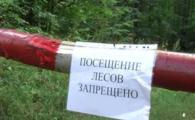 Белорусам запрещено ходить в леса лишь в 13 районах