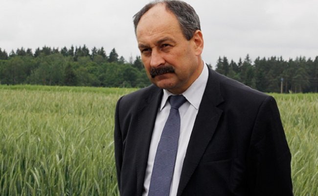 Минсельхозпрод: Повреждений посевов кукурузы жуком диабротиком в Беларуси не зафиксировано