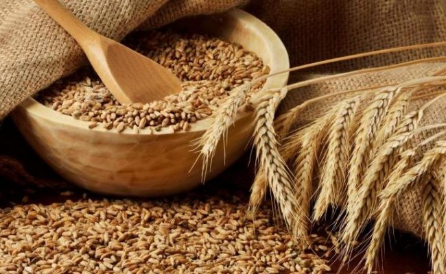 В Минской области убрали свыше 23% площадей зерновых