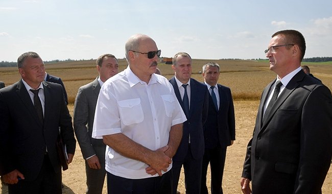 Лукашенко требует приложить максимум усилий при уборке урожая