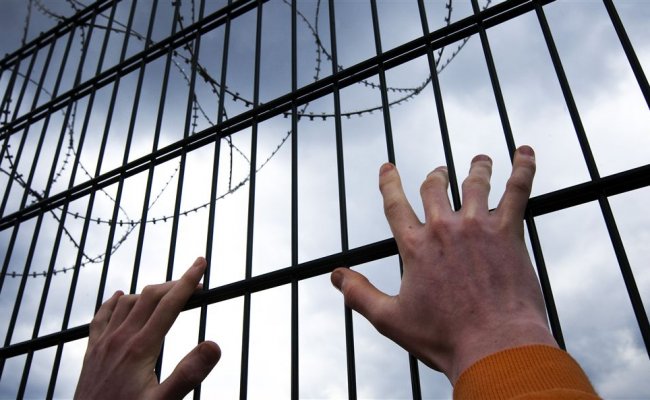 22 заключенных на Украине россиянина просят Путина об обмене