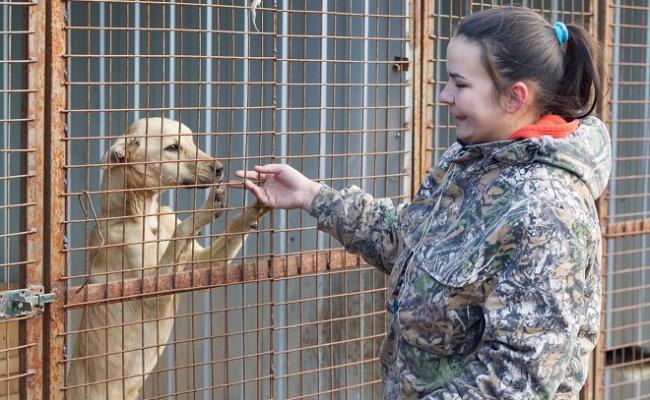 Зоозащитники в Бресте обвинили работников госприюта в «медленном убийстве» животных