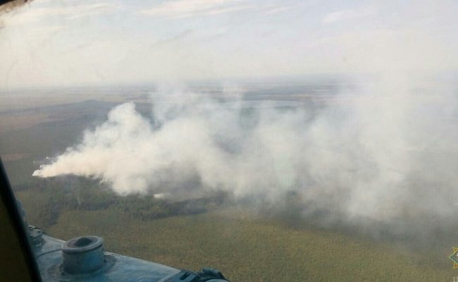 МЧС задействовало авиацию для тушения пожара в Брестской области