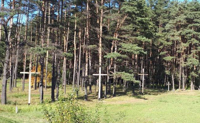 На Дашкевича и его соратников составили админпротоколы за установку крестов в Куропатах