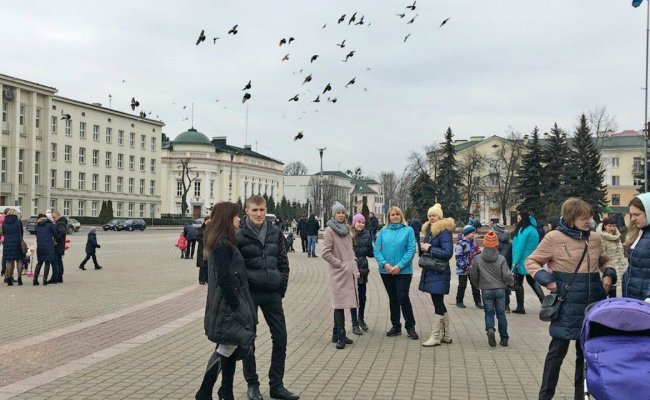 В Бресте прошло последнее протестное «кормление голубей»