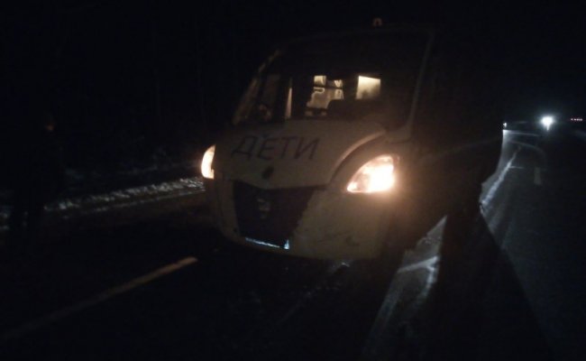 ДТП в Минской области: автобусы с детьми столкнулись из-за лосей, есть пострадавшие