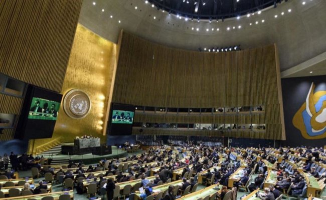 Беларусь вошла в Топ-20 стран-плательщиков в бюджет ООН