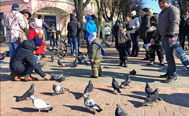 Брестские оппозиционные правозащитники нагнетают обстановку вокруг безопасности противников завода АКБ