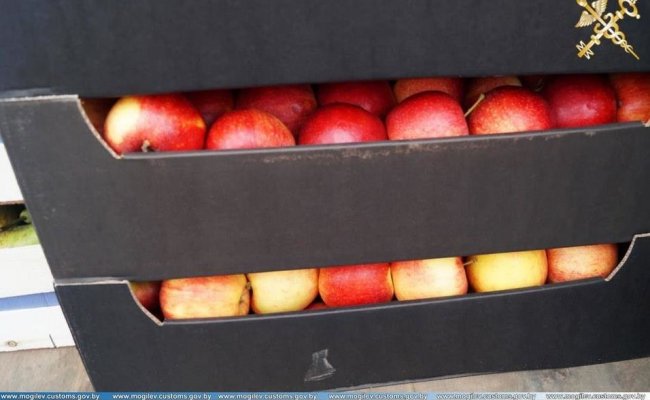 Граждане России на восьми грузовиках пытались незаконно вывезти яблоки из Беларуси