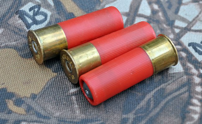 У одного из противников строительства АКБ нашли в машине взрывчатку и патроны