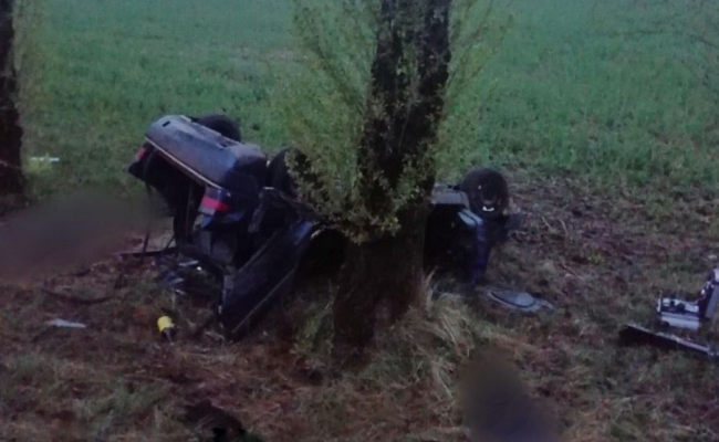 В Витебской области пьяный водитель съехал в кювет: трое погибших, один пострадавший