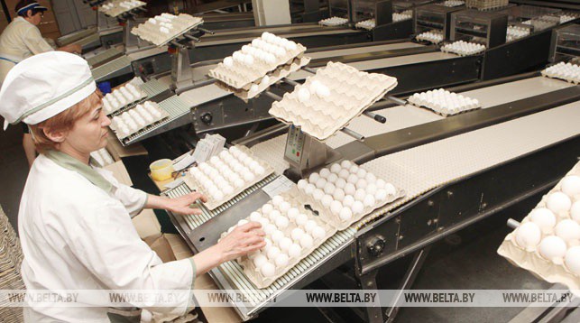 Россельхознадзор снял ограничения на поставку в РФ продукции с белорусского агрокомбината
