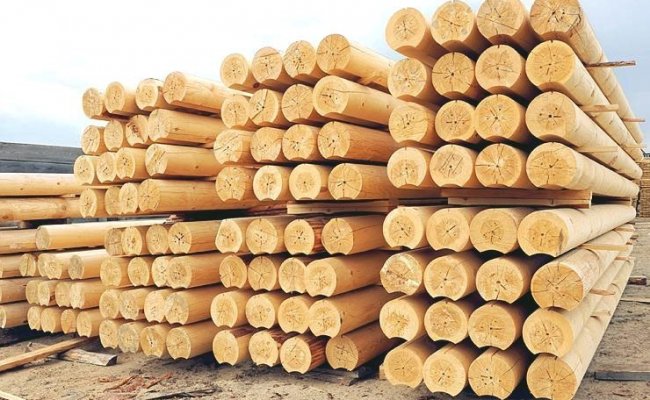 Правительство ввело разрешение на экспорт лесоматериалов твердолиственных пород