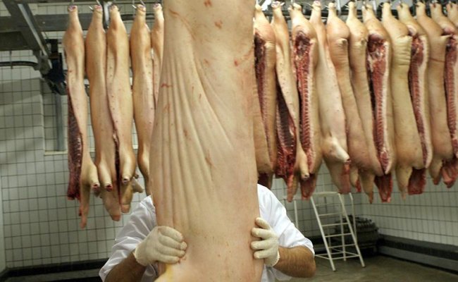 Беларусь из-за вспышки чумы ограничила ввоз свинины из Сербии