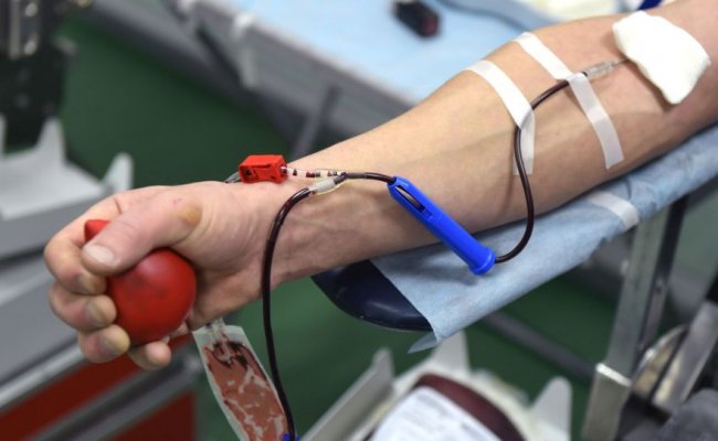 В Беларуси 15 переболевших коронавирусом стали донорами плазмы - Минздрав